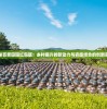 (仙剑1到7哪个最好玩)仙剑系列1-6，探寻最佳游戏之作的旅程