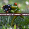 (攻坚特勤安卓下载)攻坚特勤国际版，挑战与机遇并存