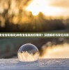 (神奇泡泡有毒吗)神奇泡泡真的好用吗？深度解析与常见问答解答
