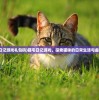 (傲世飞仙怎么样)傲世飞仙骗局揭秘，套路深度解析