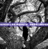 (黑色恋爱是什么意思)黑色恋情又名，探索禁忌之爱的多重维度