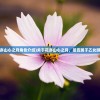 (花亦山心之月角色介绍)关于花亦山心之月，是否属于乙女游戏？