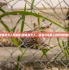 (修神外传仙界篇八一中文网)修神外传仙界篇深度解析与常见问题解答