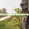 (燃烧王座5号怎么跳过任务)燃烧王座5号攻略，如何巧妙跳过难关？