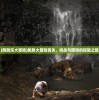 (光遇租号流程)光遇租号，游戏账号共享的新趋势与挑战