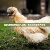 (徒儿快跑游戏)徒儿快跑，美味佳肴攻略大揭秘