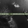 (永恒世纪单人版怎么玩)永恒世纪单人版，游戏深度解析与常见问题解答