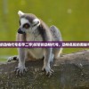 (踏马江湖什么时候公测的啊)踏马江湖公测日期揭秘，期待与江湖的邂逅