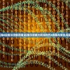 (讨鬼传攻略视频)讨鬼传攻略秘籍大全及常见问题解答