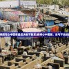 (赛博朋克心中困兽最后决赛不联系)赛博心中困兽，杀与不杀的抉择