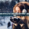 (180复古合击,一切靠打)关于180复古合击什么组合好，经典游戏策略组合探讨