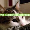 探索毛茸茸的天堂：详细解析猫咪列车位于何处及其为猫咪提供的独特体验
