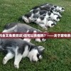 (你可以养我吗全文免费阅读)你可以养我吗？——关于宠物养护的深度探讨