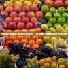 (食物归类者H5)食物归类者H5，重塑我们对食物的认识与分类