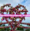 (剑侠传奇手游脚本辅助软件)剑侠传奇手游脚本辅助，游戏攻略与常见问题解答