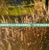 (小时候玩的一个三国的游戏小人对打的)小时候的三国游戏，重温经典，探寻记忆