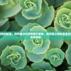 探究全成就的秘密：如何通过科学的园艺策略，将花园之间的连接变成优美的生态景观