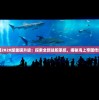 战舰帝国2020版重磅升级：探索全新战舰系统，揭秘海上帝国传承与创新