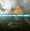 (奇幻森林岛手游攻略大全)奇幻森林岛手游攻略大全及常见问答（FAQ）