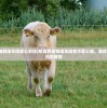 (萌宠物语破解版无限爱心农场)萌宠养成物语无限金币爱心版，游戏解析与常见问题解答