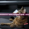 (永夜降临复苏阵容搭配)永夜降临复苏阵容，策略分析与实战指南