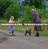 (无双传奇176攻略)无双传奇176，深度解析与常见问答