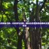 三年级学生的想象之旅：以环保为主题，描绘出生机勃勃的森林王国——300字作文