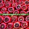 (彩色棉花糖小店)彩虹棉花糖小店，无广告，尽享甜蜜时光