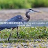 (彼得潘中的梦幻岛英文)梦幻岛英文，A Review and Exploration of the Enchanted Island
