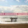 跳跳鱼世界第1季：独特的海洋生态环境探索，挑战孩子们的观察力与想象力