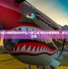 (一款二战飞机2d横屏游戏叫什么)一款二战飞机2D横屏游戏，战火重燃的天空之战