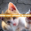 (萌宠西游哪个职业好一点)萌宠西游，哪个职业更适合你？