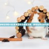 (逃离动物岛攻略大全)逃离动物岛全面攻略，解锁生存之道与隐藏秘密