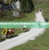 (玛法英雄官方网站下载)玛法英雄官方网站，探索游戏世界的新门户
