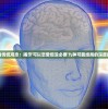 (神仙记事录官方网站下载)神仙记事录官方网站，探索神秘世界的门户