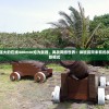 (征服手游怀旧版官网)口袋征服怀旧版双龙城，重温经典，探索双龙传奇之旅