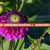 (跑跑卡丁车单机版安卓版)跑跑卡丁车单机版iOS，重温经典，畅享无限漂移乐趣