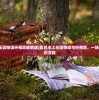 (修真无止境最新版攻略)修真无止境最新版，深度解析与常见问答
