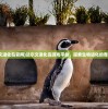 (达尔文进化岛官网)达尔文进化岛游戏平台，探索生物进化的奇幻世界