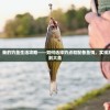 深入揭秘：我的钓鱼生活攻略——如何选择钓点和配备鱼饵，实现高效稳定钓到大鱼