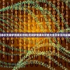 (纸嫁衣无间梦境通关攻略)无间梦境通关攻略大全及常见问题解答