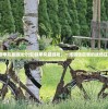 (楚留香手游改名了吗)楚留香手游改名原因深度解析