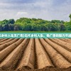 (权游三国武将搭配)权游三国物品ID查询网站，探索游戏内的物品信息与价值