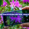 (植物大战僵尸手机版下载 安卓)植物大战僵尸手机版，游戏魅力与深度探讨