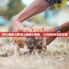 (三足鼎立是什么生肖最佳答案)三足鼎立与生肖的奇妙关联