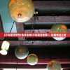 (隐居在都市修真)俗人修真录，探寻修真的奥秘与人生领悟