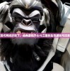 探讨现代网络环境下，经典游戏开心斗三国的生存现状与玩家体验