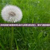 (青鸟殷勤为探看的青鸟是什么意思)青鸟MP3，音乐飞翔的翅膀