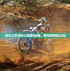 (仙灵觉醒飞羽技能)仙灵觉醒飞羽攻闪避流，策略与实战解析