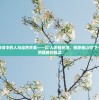 探究古人诗词中的人与自然关系——以'人闲桂花落，夜静春山空'下一句为引导的理解和解读